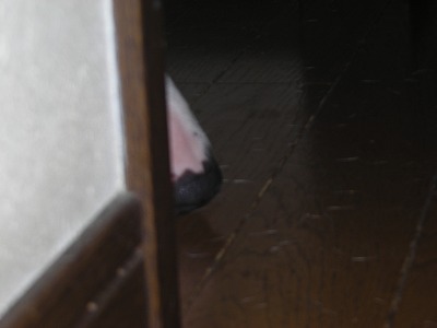 e0121418_040952.jpg