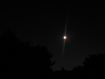 d0002224_2145423.gif