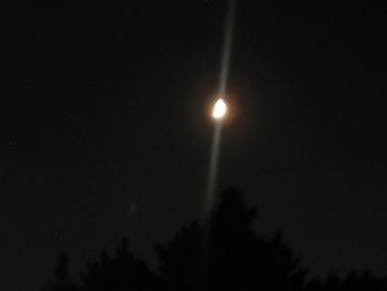 d0002224_21462691.gif