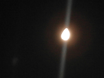 d0002224_2146510.gif