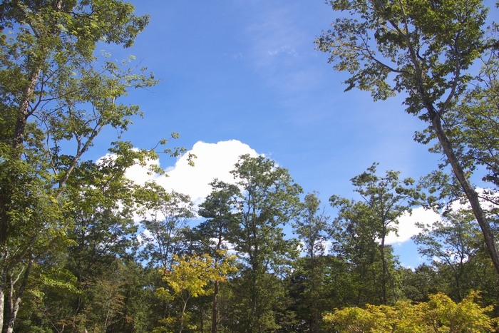 a0034438_102738.jpg
