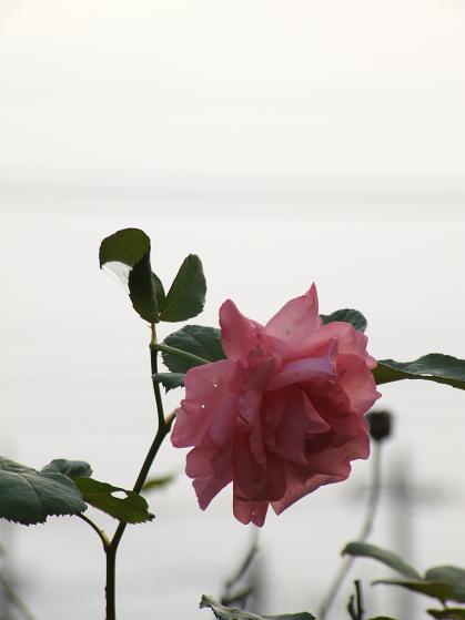 b0089338_23203262.jpg