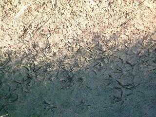 c0026843_23254660.jpg