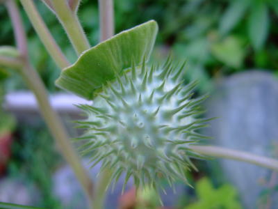 9月22日実