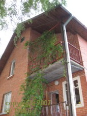 c0025346_4164958.jpg