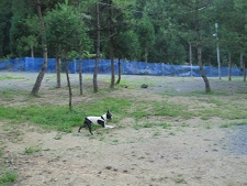 e0126046_21502937.jpg