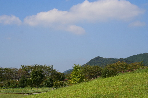 d0013149_11481552.jpg