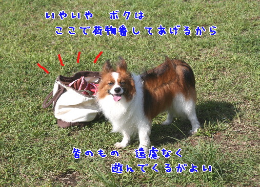 d0013149_12164111.jpg