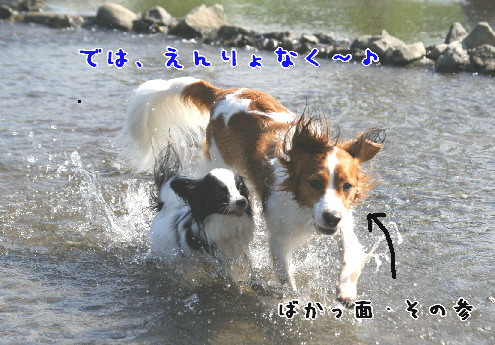 d0013149_1221127.jpg