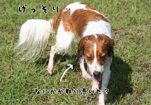 d0013149_12233330.jpg