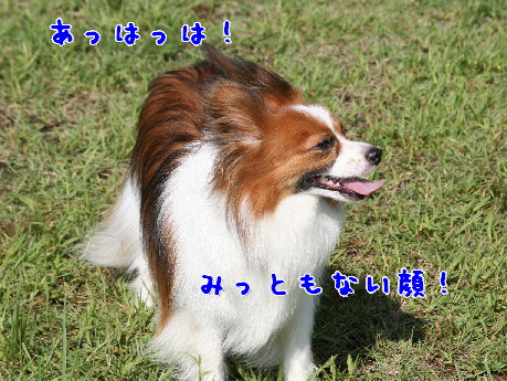d0013149_1224782.jpg