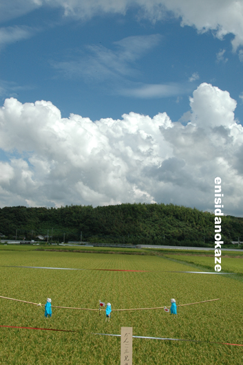 d0114349_19464546.jpg