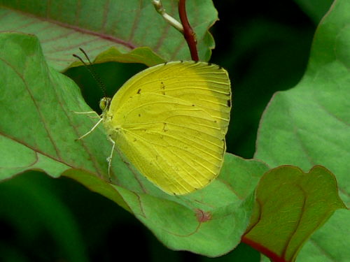 d0091754_2564914.jpg