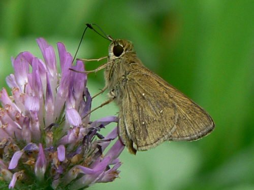 d0091754_321194.jpg