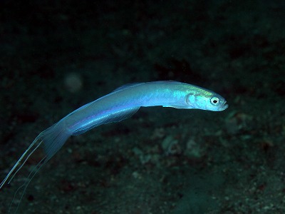 a0079659_7554786.jpg