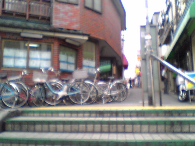 f0049063_1747376.jpg