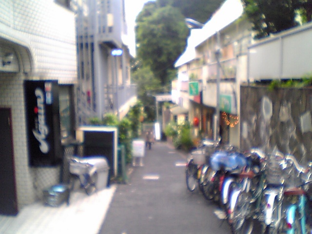 f0049063_17475985.jpg