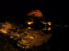 c0102268_1715990.jpg
