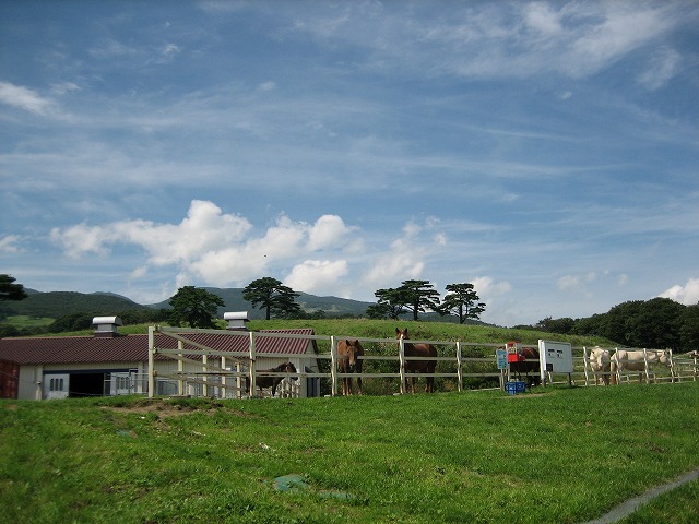 a0104569_1315511.jpg