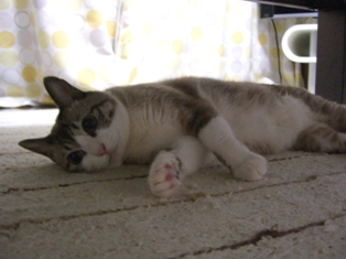 b0051372_21355122.jpg