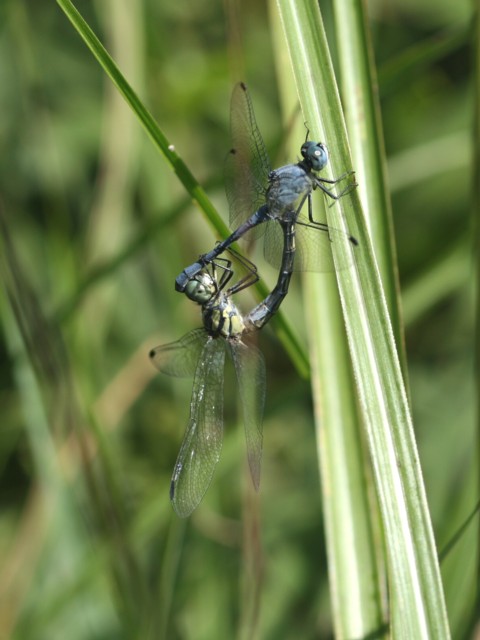 b0088772_1921787.jpg