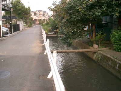 c0112172_1641118.jpg