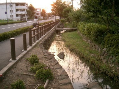 c0112172_16422689.jpg