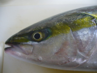 f0138073_1330468.jpg
