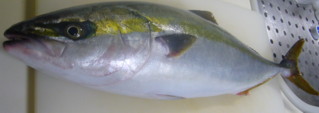 f0138073_13364244.jpg