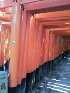 c0111981_539913.jpg