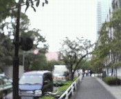 e0017290_17512541.jpg