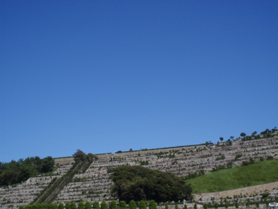 f0130894_18414186.jpg