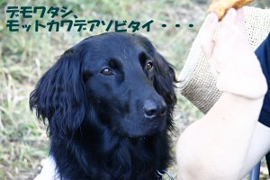 c0050400_1856417.jpg