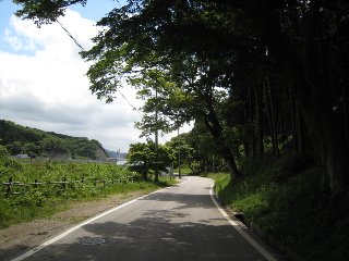 d0121300_155050.jpg