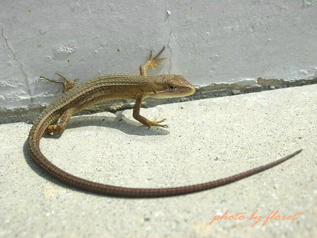 f0083400_18182966.jpg