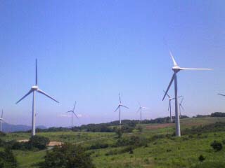 f0082402_11455320.jpg