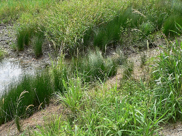 e0002314_15532847.jpg