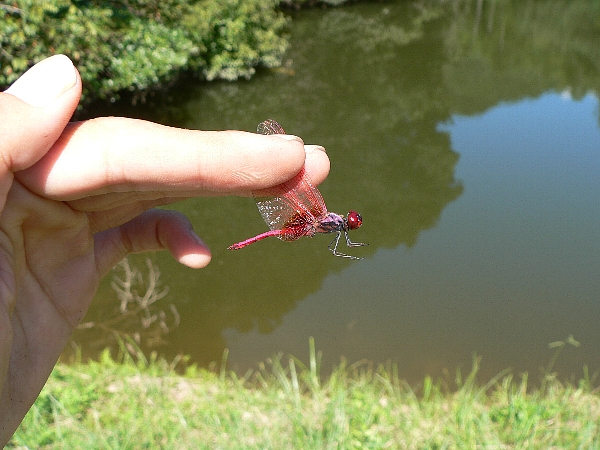 e0002314_163991.jpg