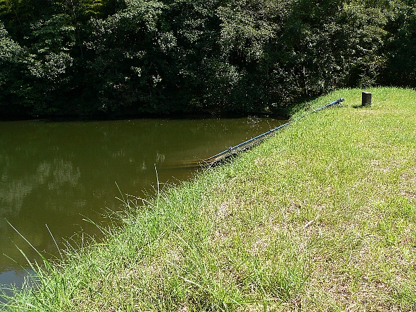 e0002314_1661338.jpg