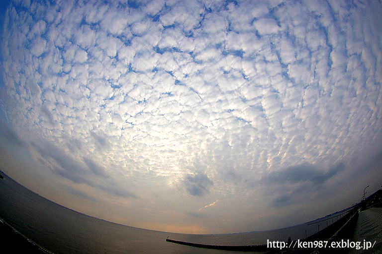 a0070118_11223528.jpg