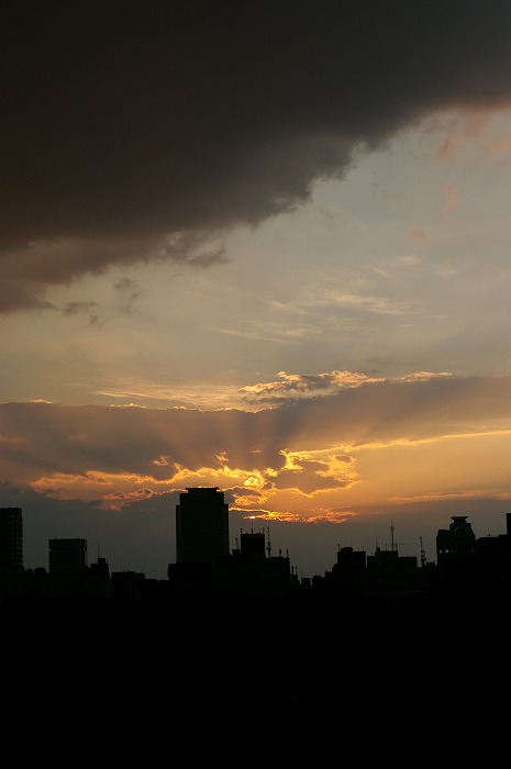 c0106831_2345613.jpg