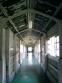 f0118332_15204284.jpg