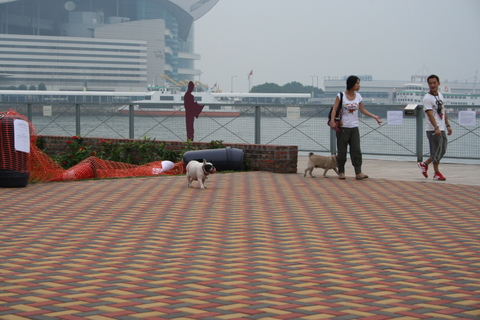e0018143_1851949.jpg