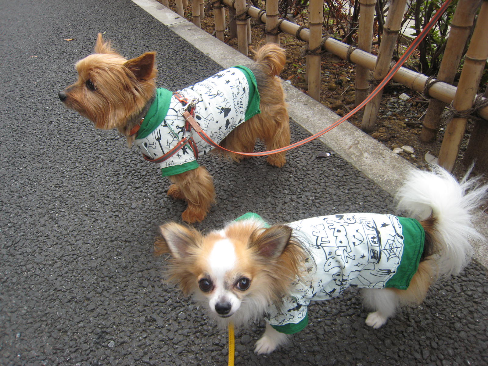 お似合いだよね~^0^♪