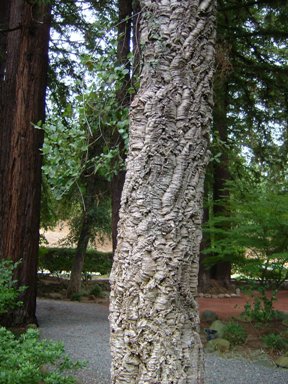 c0078451_11242256.jpg