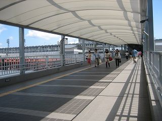 d0031853_17223456.jpg