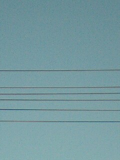 e0107456_20392535.jpg