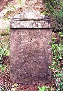 e0018762_20332286.jpg