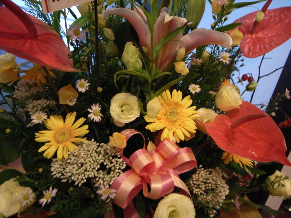 c0132571_2047037.jpg