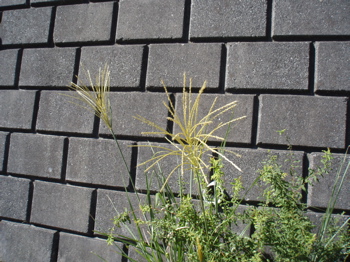 f0130894_21214443.jpg